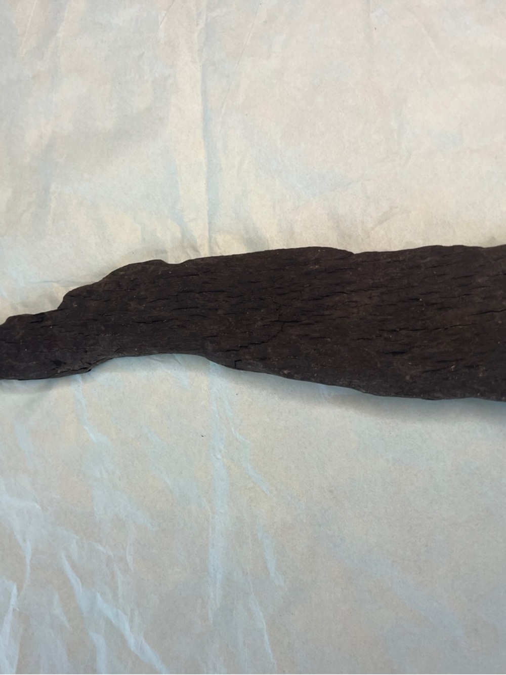 Natural driftwood possibly bark from Potomac River looks